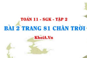 Bài 2 trang 81 Toán 11 Tập 2 Chân trời sáng tạo